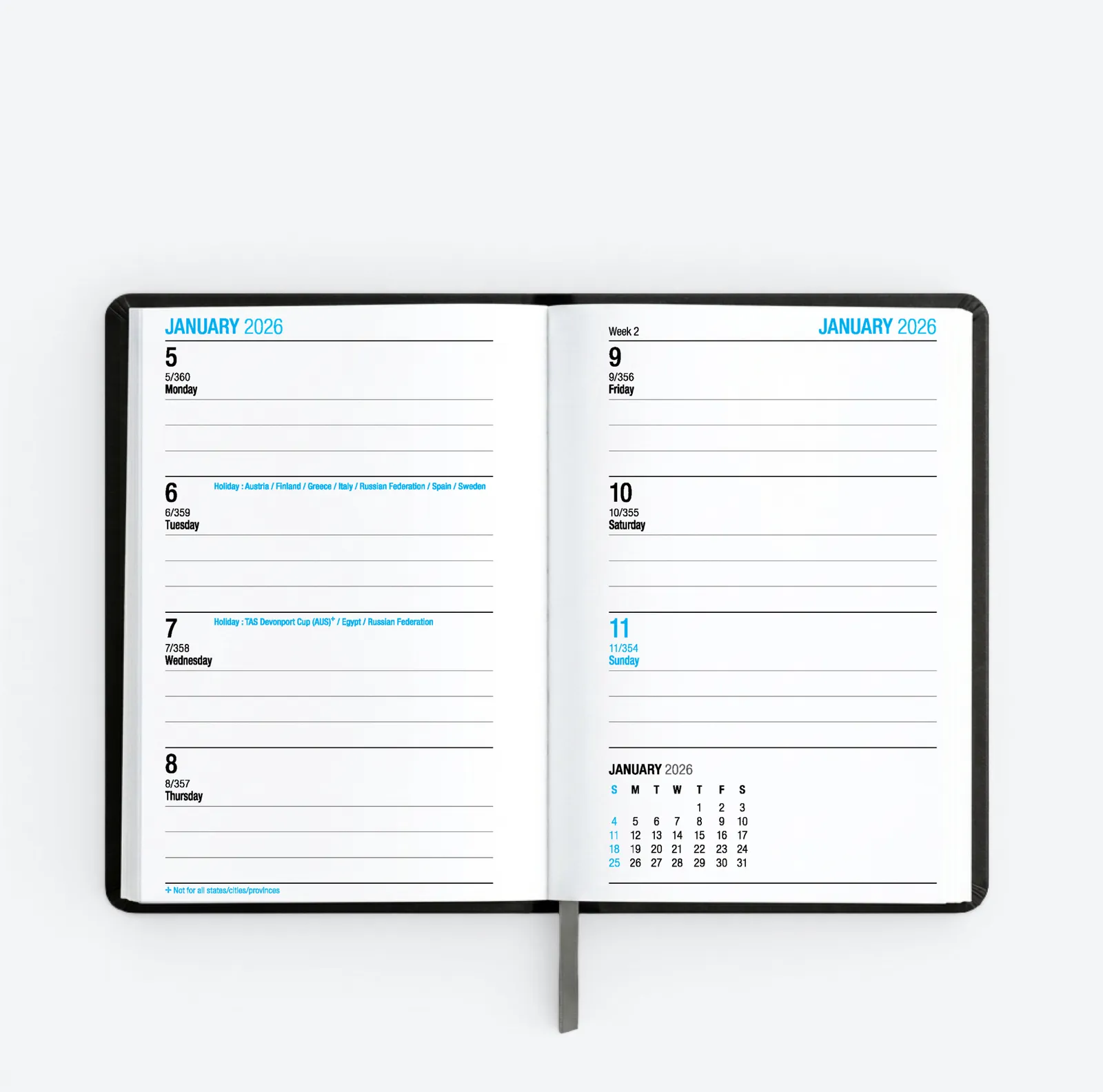 Large Pocket Week to View Diary 3